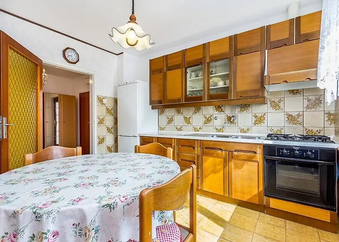 Apartment Orlic *